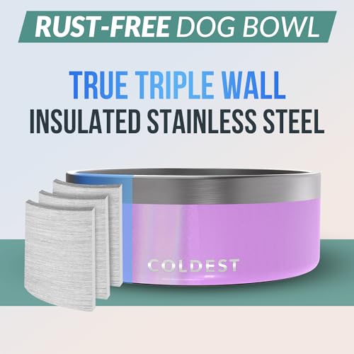 Coldest Dog Bowl (64 oz / Saturns Purple Glitter)
