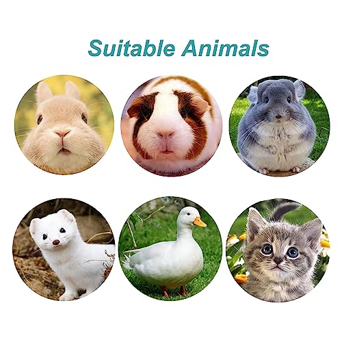 Rabbit Water Bottle 17 OZ Bunny Hanging Water Fountain Automatic Guinea Pig Water Dispenser No Leak Drinking Feeder for Bunny Chinchilla Hamsters Cat Dog Small Animals