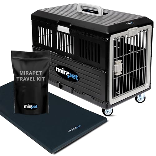 Pet Carrier with Pad (Medium - Gray / with travel kit)