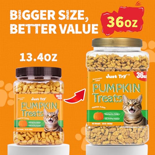 36 OZ Pumpkin Cat Treats Salmon for Digestive Health (2.25 Pound (Pack of 1))