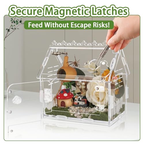 Jumping Spider Enclosure