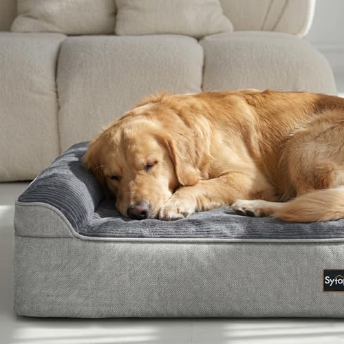 XXL Orthopedic Dog Bed for Large Senior Dogs 52 x 36 x 7 Inch (Twill Cover Grey / XX-Large)