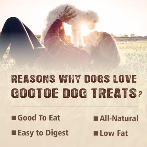 Soft Chicken Dog Treats (1 Pound (Pack of 1))