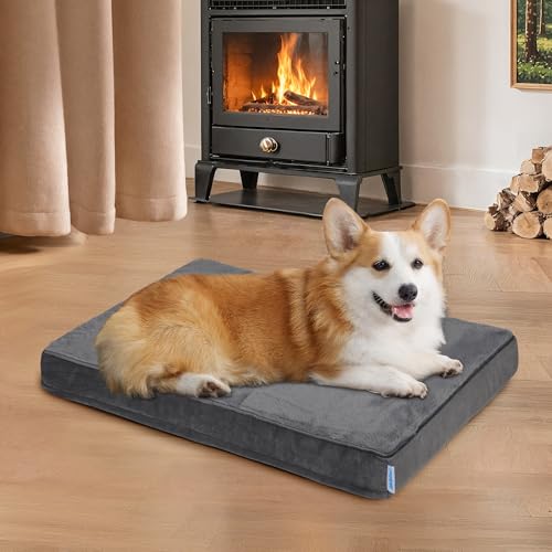 Waterproof Dog Bed for Medium Dog (Dark / 30"L x 20"W x 3"H)