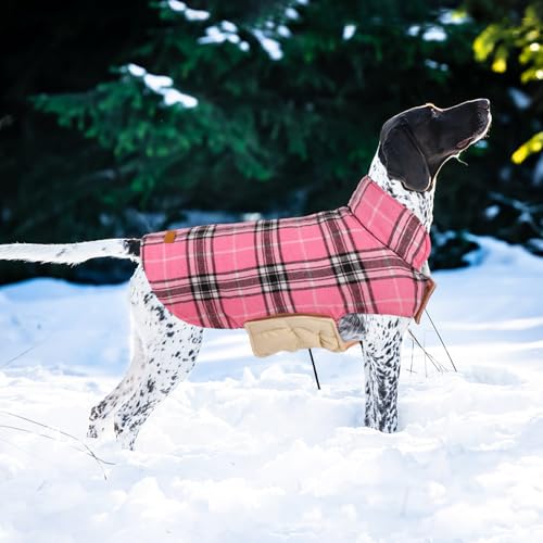 Waterproof Dog Coat (Pink / Large (Pack of 1))
