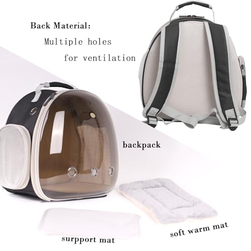 Bearded Dragon Travel Backpack Carrier with Porlarized Bubble Window for Small Animal (Black)