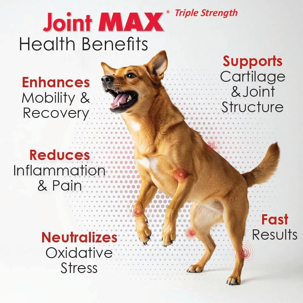 TS Joint Supplement Vet Formulated Pain & Inflammation Relief Treats Hip Dysplasia & Arthritis.Glucosamine (240 Soft Chews)