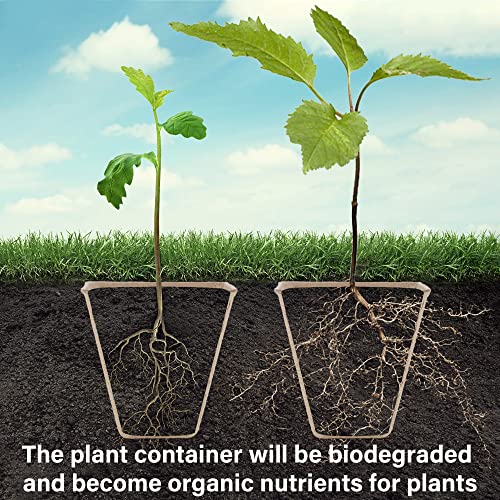 Seed Starter Peat Pots (Square)