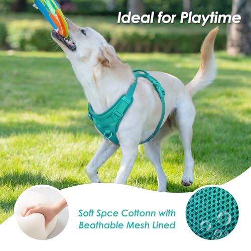 No Pull Dog Harness for Small Sized Dogs (MARRS Green / XS(Neck:11.8-16.5", Chest:14.2-19.7"))