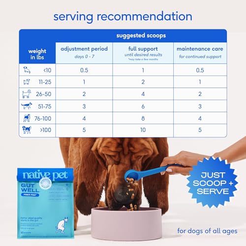 GutWell Power Poop (60 Count)
