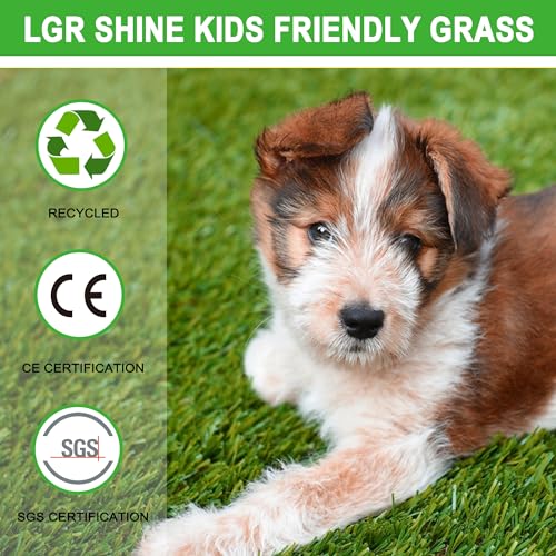 Artificial Grass Turf for Dogs 5 ft x 8 ft (5 ft X 8 ft)