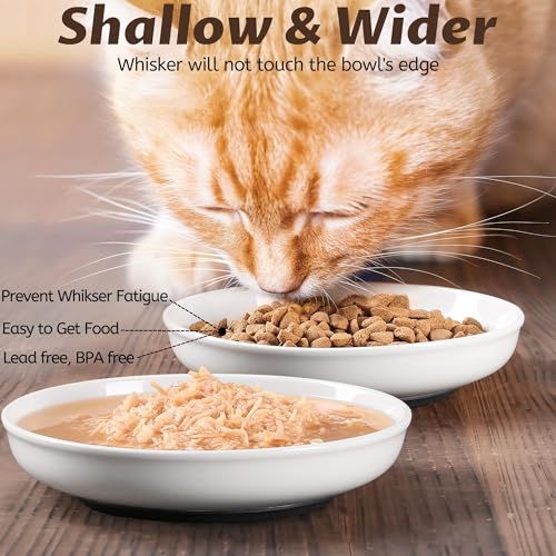 No Spill Cat Bowls (Deeper-3 Pack)