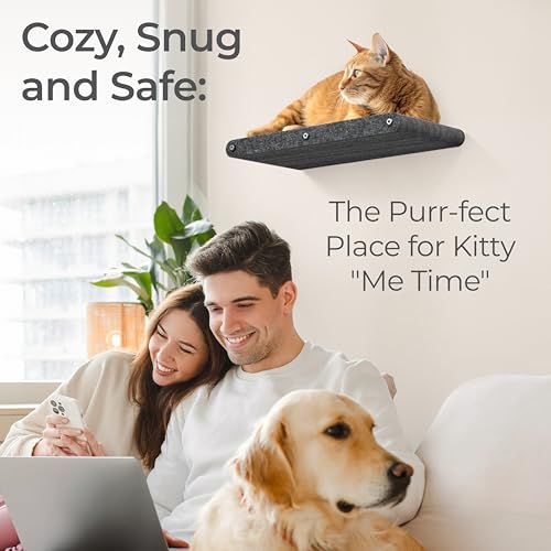 Cat Wall Shelf (Charcoal / 1 Long Cat Climber)