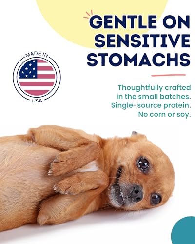 Belly Benefits Soft Dog Training Treats (10 Ounce)