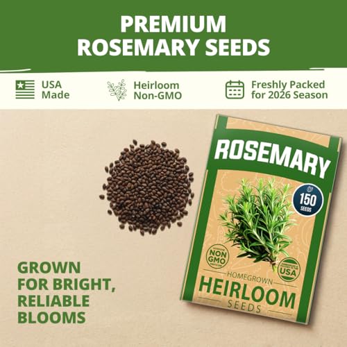 Rosemary Seeds