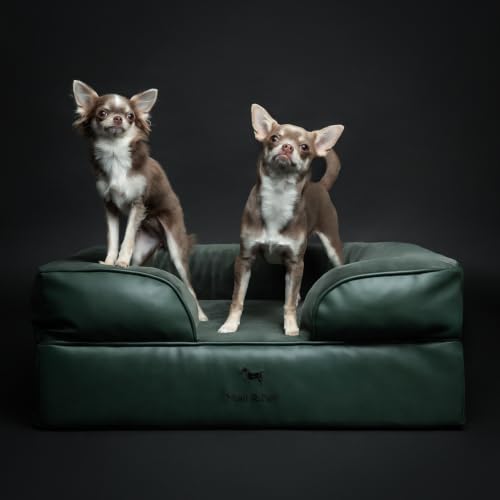 Dog Bed Orthopedic Memory Cooling Foam (Green - LE / Medium)