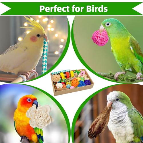 Bird Toys Colorful Birds Foraging & Shredded Toy Boxs