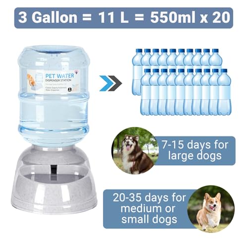 3 Gallon Dog Water Dispenser for Large Dogs