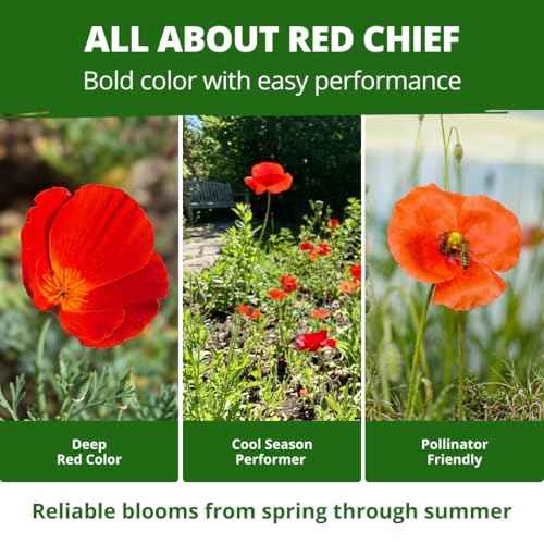 Red Chief Poppy 22