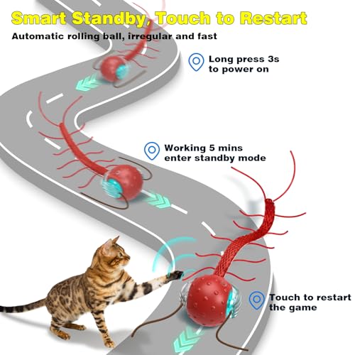 Interactive Cat Toys for Indoor Cats (Red)