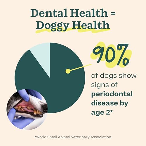 Dental Kit Includes Pupsicle Dog Toy