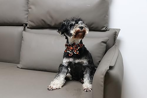 Dog Collar with Flower (Large (Pack of 1) / B:Y&W Pumpkin)