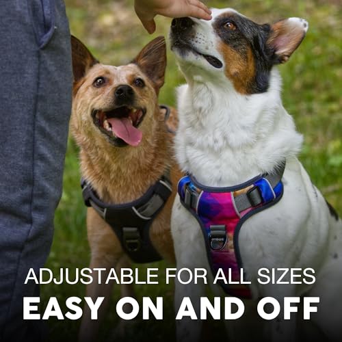 Embark No Pull Dog Harness (XS / Aurora)