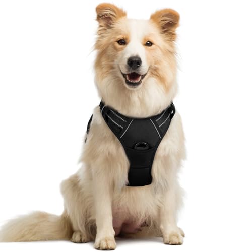 Dog Harness No Pull Medium Sized with 2 Leash Clips (Medium / Black)