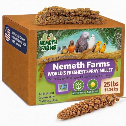 Spray Millet Edible Tops Only (5 Pound (Pack of 1))