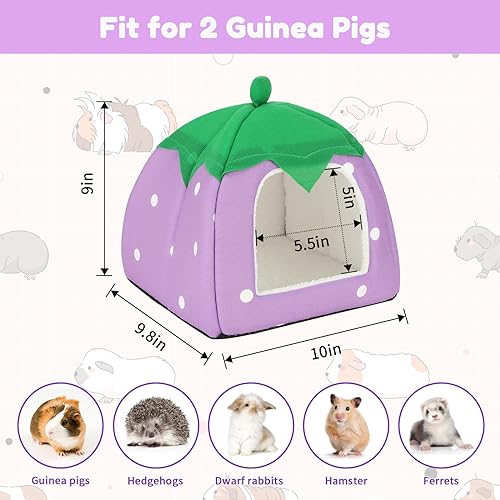 Guinea Pig Bed Hideout (Strawberry Purple)