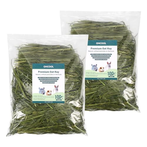 Premium Dust Free Oat Hay 2.2lbs (1.1 Pound (Pack of 2))