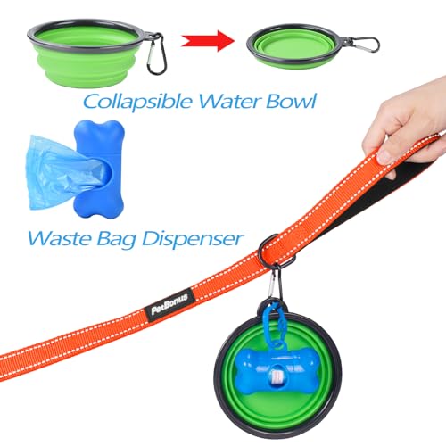 Double Dog Leash (Orange)