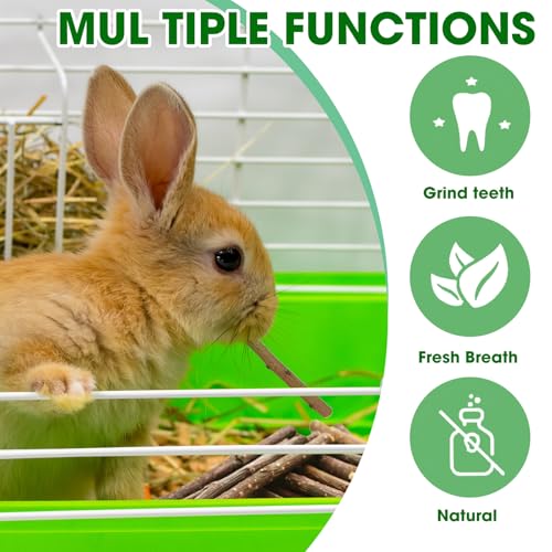 1 LB (16oz) Natural Apple Wood Chew Sticks for Rabbits, Hamsters, Chinchillas - Extra Hard Teeth Grinding Toy | Untreated, Safe & Long-Lasting Rodent Chews