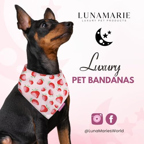 Luxury Dog Bandanas (Strawberry / Small)