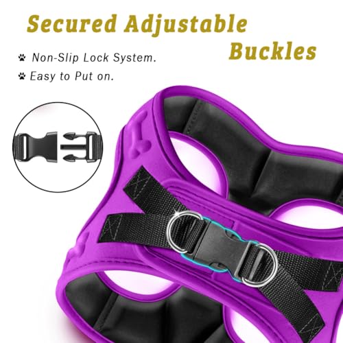 Comfort fit Step (L+ (Chest 21"-23") / Purple)