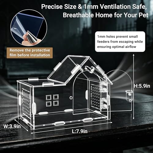 Acrylic Jumping Spider Enclosure Kit 16PCS with Decor (Black-Forest style)