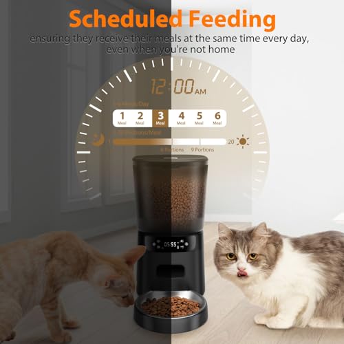 Automatic Cat Feeder