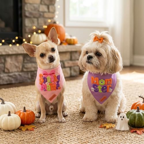 Halloween Dog Bandanas Girl (Small / Halloween-1)