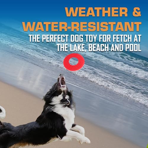 Atomic Flyer Outdoor Dog Toy (Red / 10 Inch)