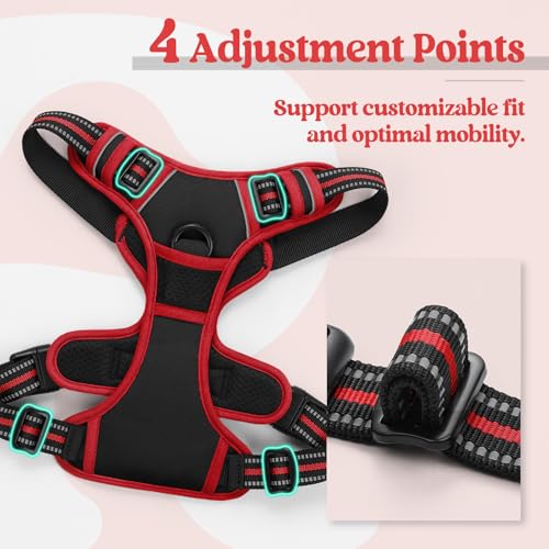 Dog Harness No Pull for Large Dogs with 2 Leash Clips (X-Large / Black & Red)