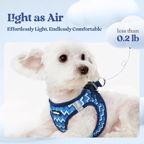 Dog Harness Small Sized and Leash Set (Blue Zigzag / Xxs (chest: 12.4 - 14.2"))