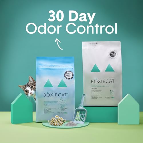 Boxie Scented Lightweight Cat Litter 30+ Day Odor Control Dust Free 16.5 lb (3 MONTH (16.5 LB))
