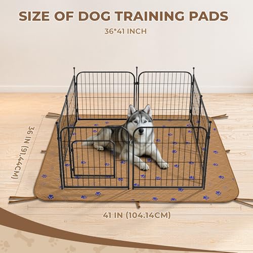 Washable Dog Pee Pads (Brown / 36*41 Inch (Pack of 2))