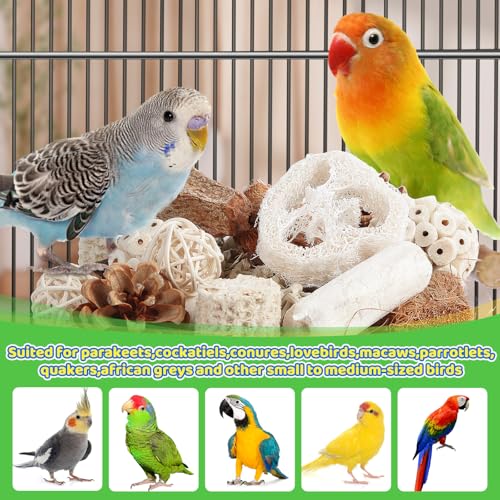 Bird Toys Parrot Toys Natural Bird Foraging Box Foot for Parakeets (Medium)