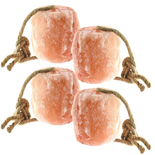 Himalayan Salt Lick 6 lbs. on Rope for Horses (6 Pound (Pack of 4))