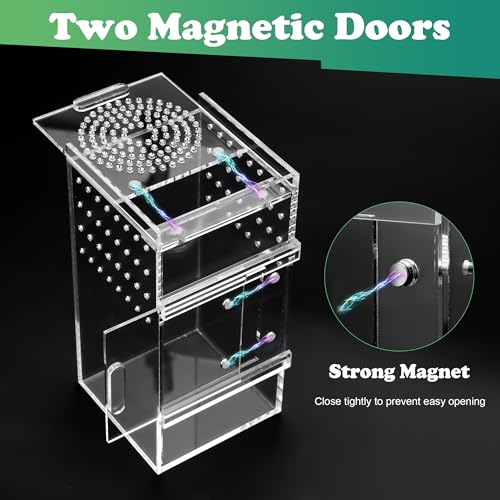 Jumping Spider Enclosure