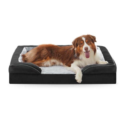Orthopedic Medium Dog Bed (35.0''l x 25.0''w x 6.5''th / Black)