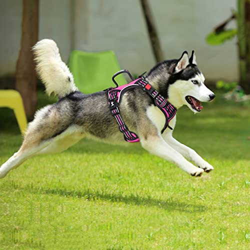 No Pull Dog Harness with 3 Leash Clips and Vertical Handle (Extra Large / Pink)