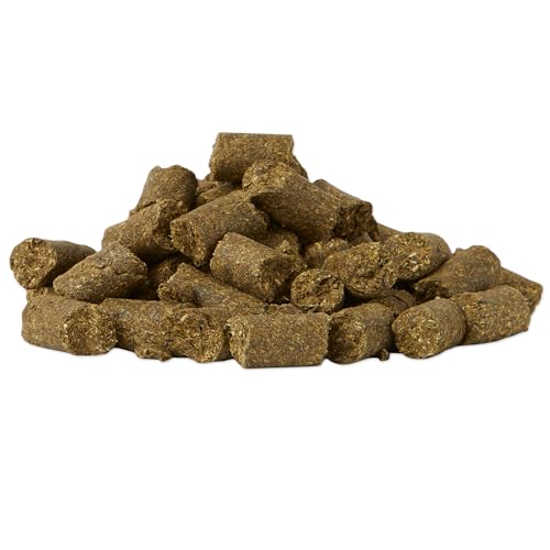 Equi Treats Carrot Cake Flavor