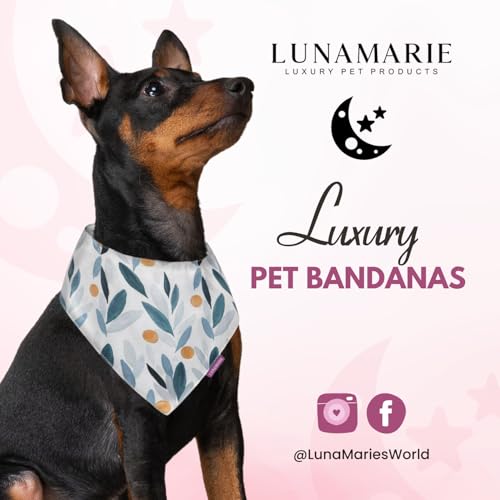 Luxury Pet Birthday Bandanas (Green/Orange Floral / Small)